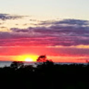 Meet your Posher, Jen